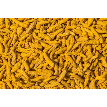 Organic Turmeric Finger Manufacturer